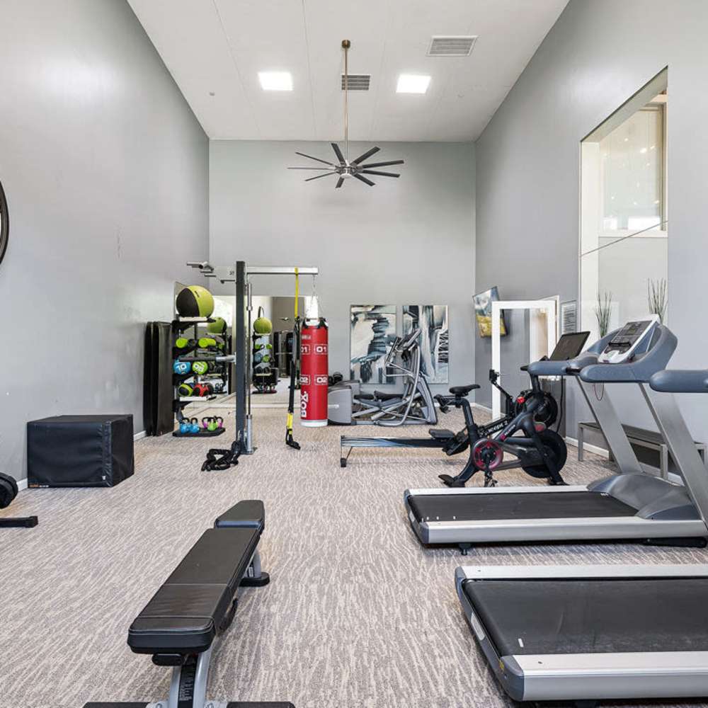 Fitness center with free-weights at Concord Apartments in Raleigh, North Carolina