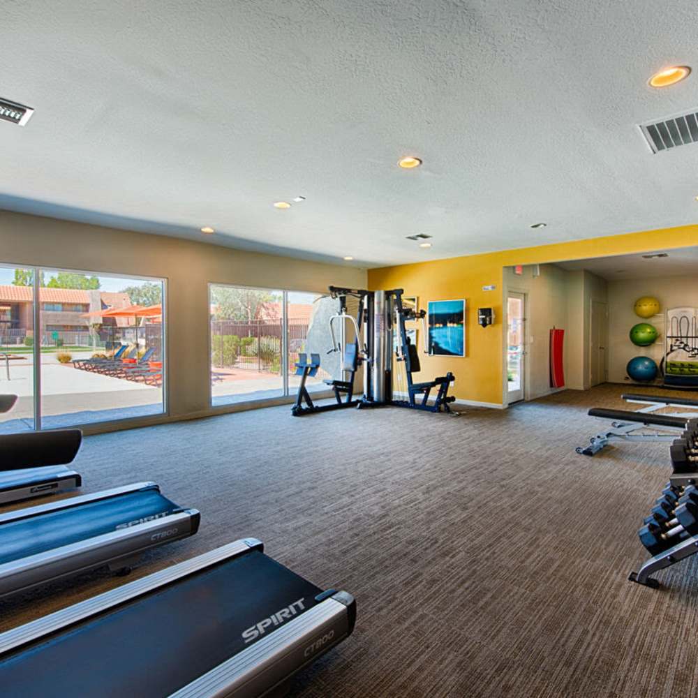 Fitness center with treadmills at Highland Park in Tempe, Arizona