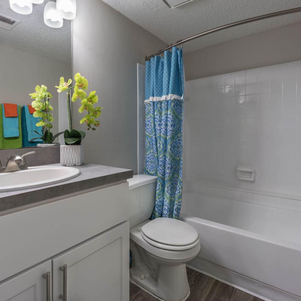 Bathroom with great lighting at Four Lakes at Clearwater in Clearwater, Florida