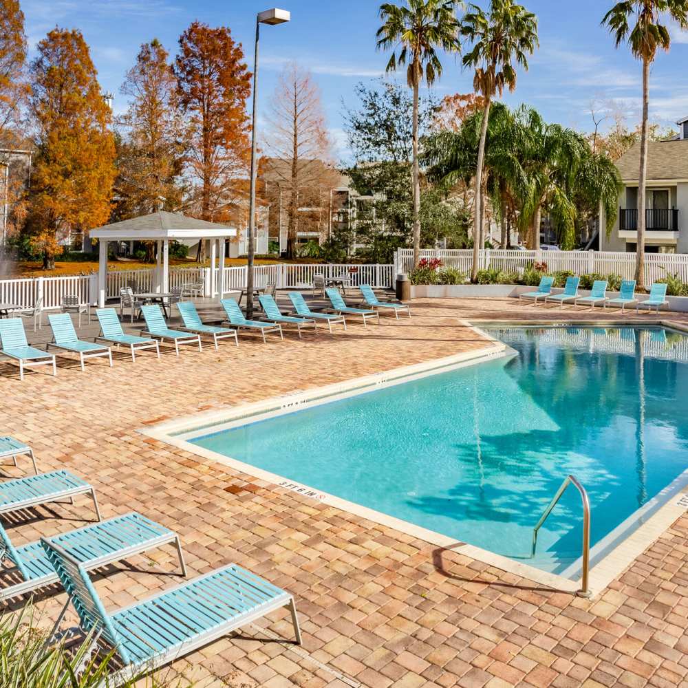 Lounge chairs surrounding the pool at Fourteen01 Apartments in Orlando, Florida