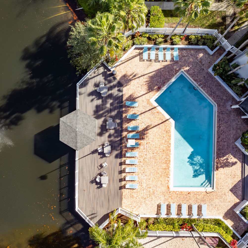 Swimming pool overhead view at Fourteen01 Apartments in Orlando, Florida