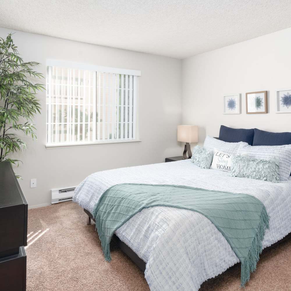 Bedroom with plush carpeting at 1202 Pearl in Tacoma, Washington