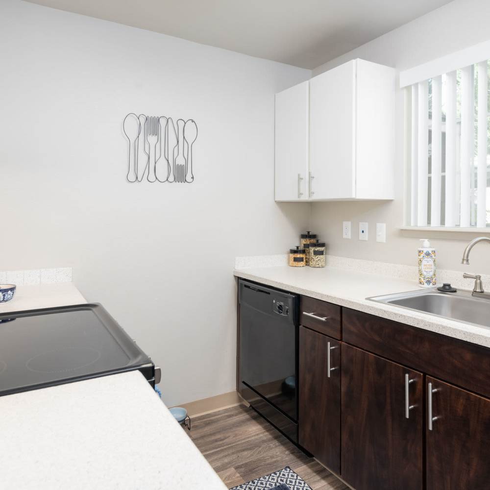 Kitchen with great counter space at 1202 Pearl in Tacoma, Washington