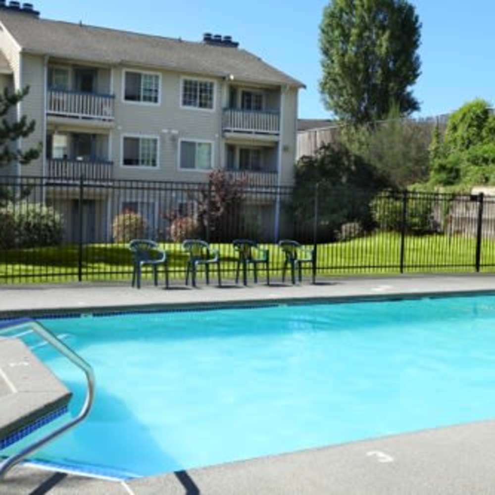 Swimming pool with lounge chairs at 1202 Pearl in Tacoma, Washington