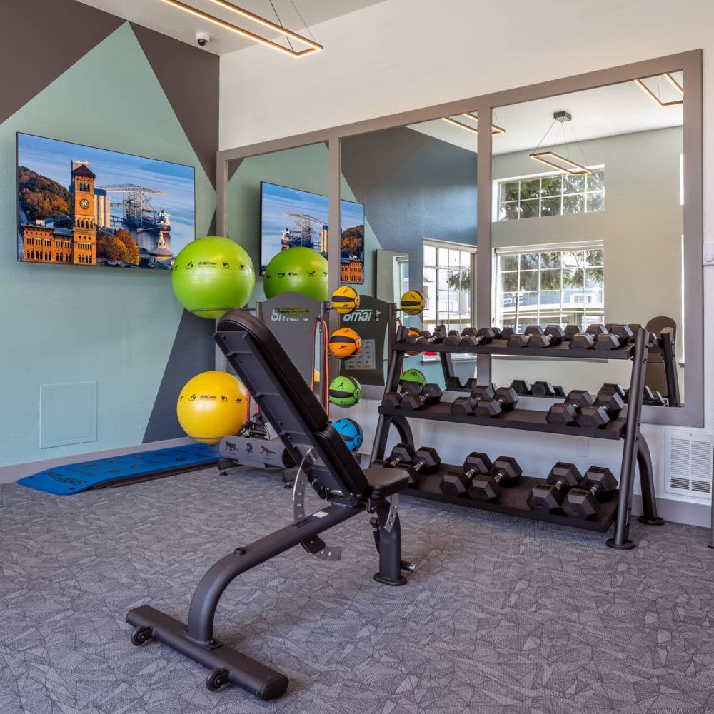 Fitness center with free weights at 1202 Pearl in Tacoma, Washington