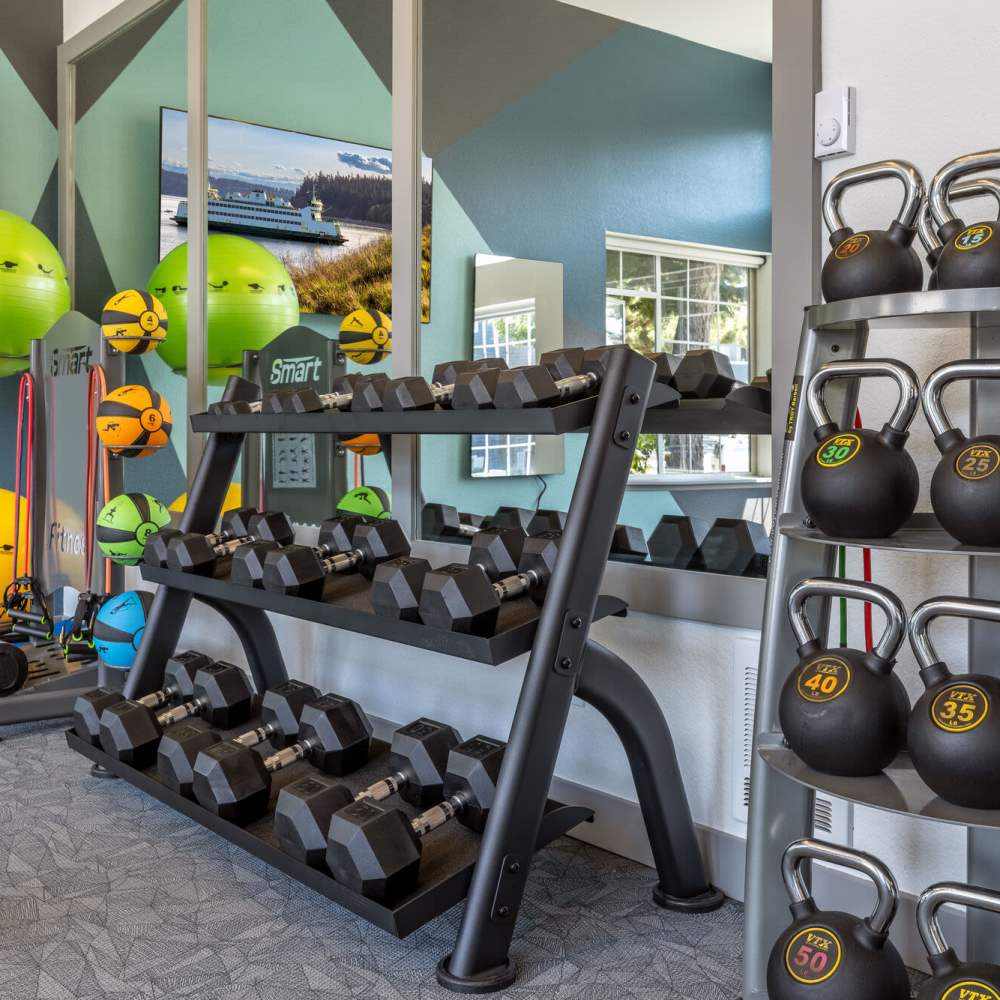 Fitness center with exercise balls at 1202 Pearl in Tacoma, Washington