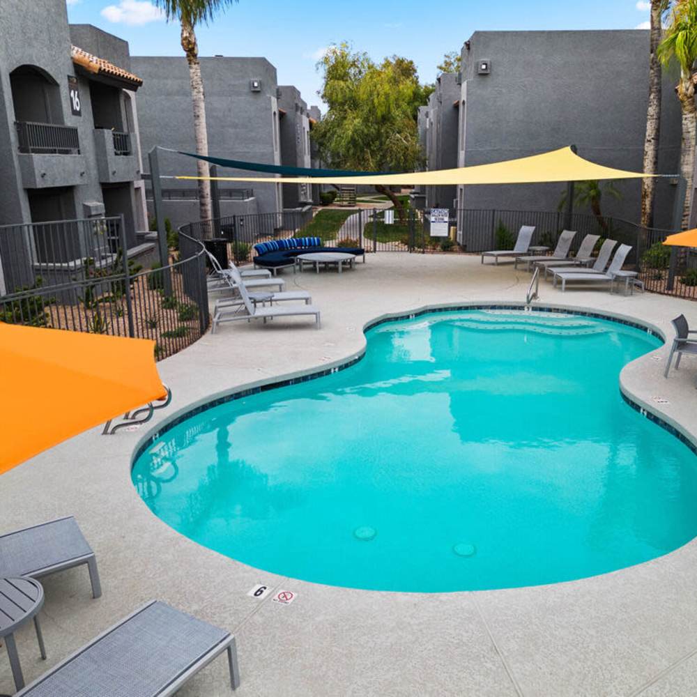 Pool with covering Verve in Glendale, Arizona