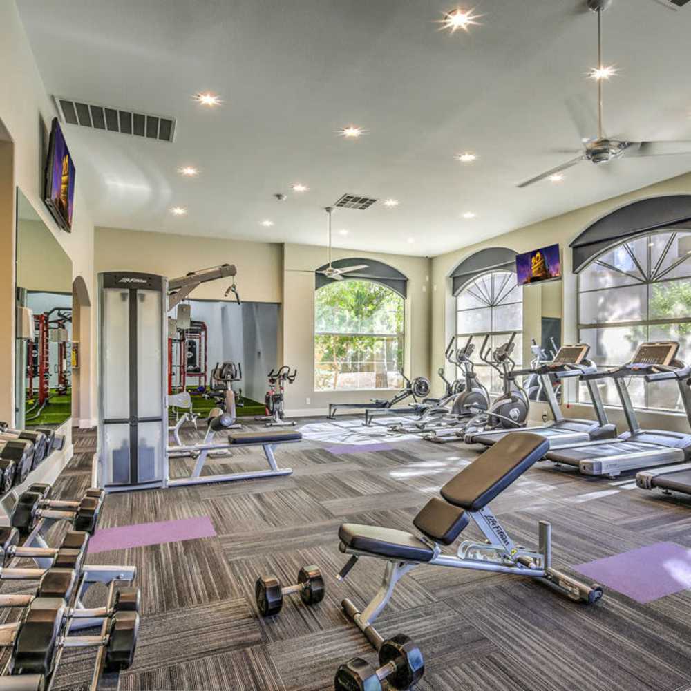 Fitness center with free weights at Calypso Apartments in Las Vegas, Nevada