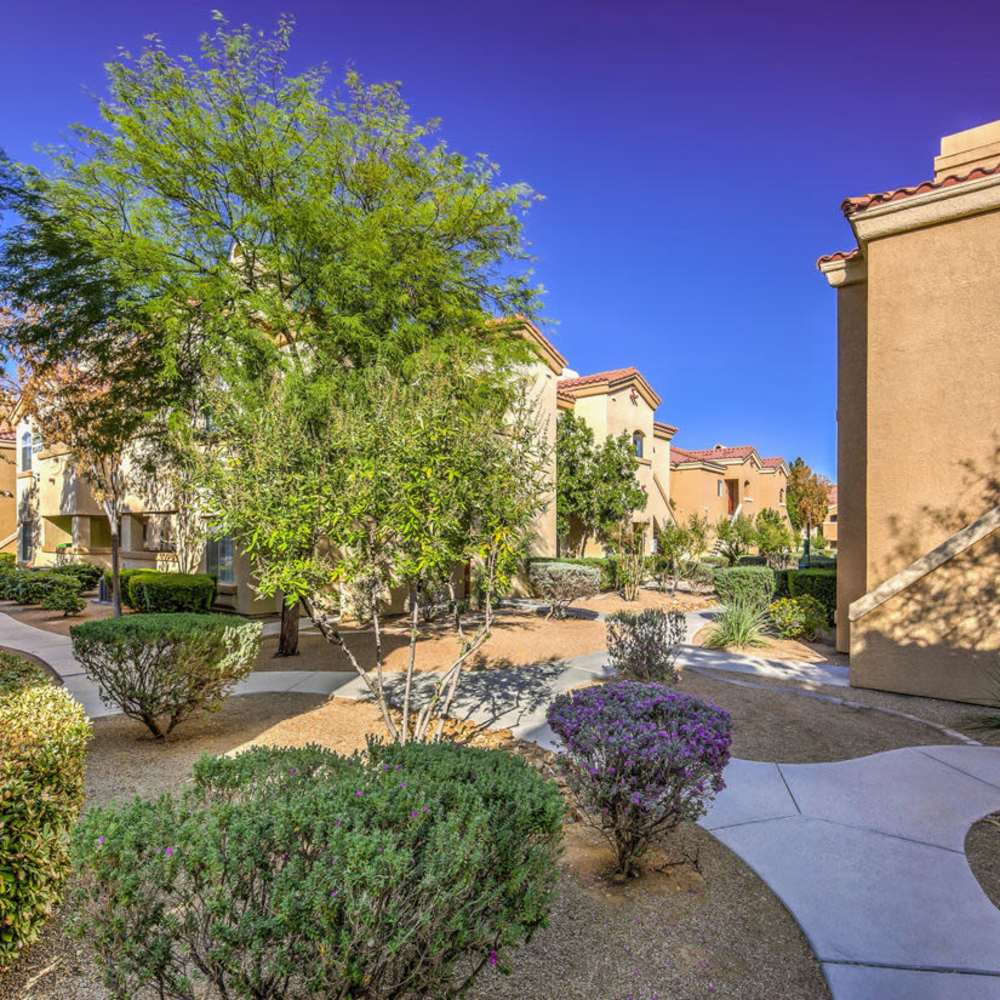 Great landscaping at Calypso Apartments in Las Vegas, Nevada