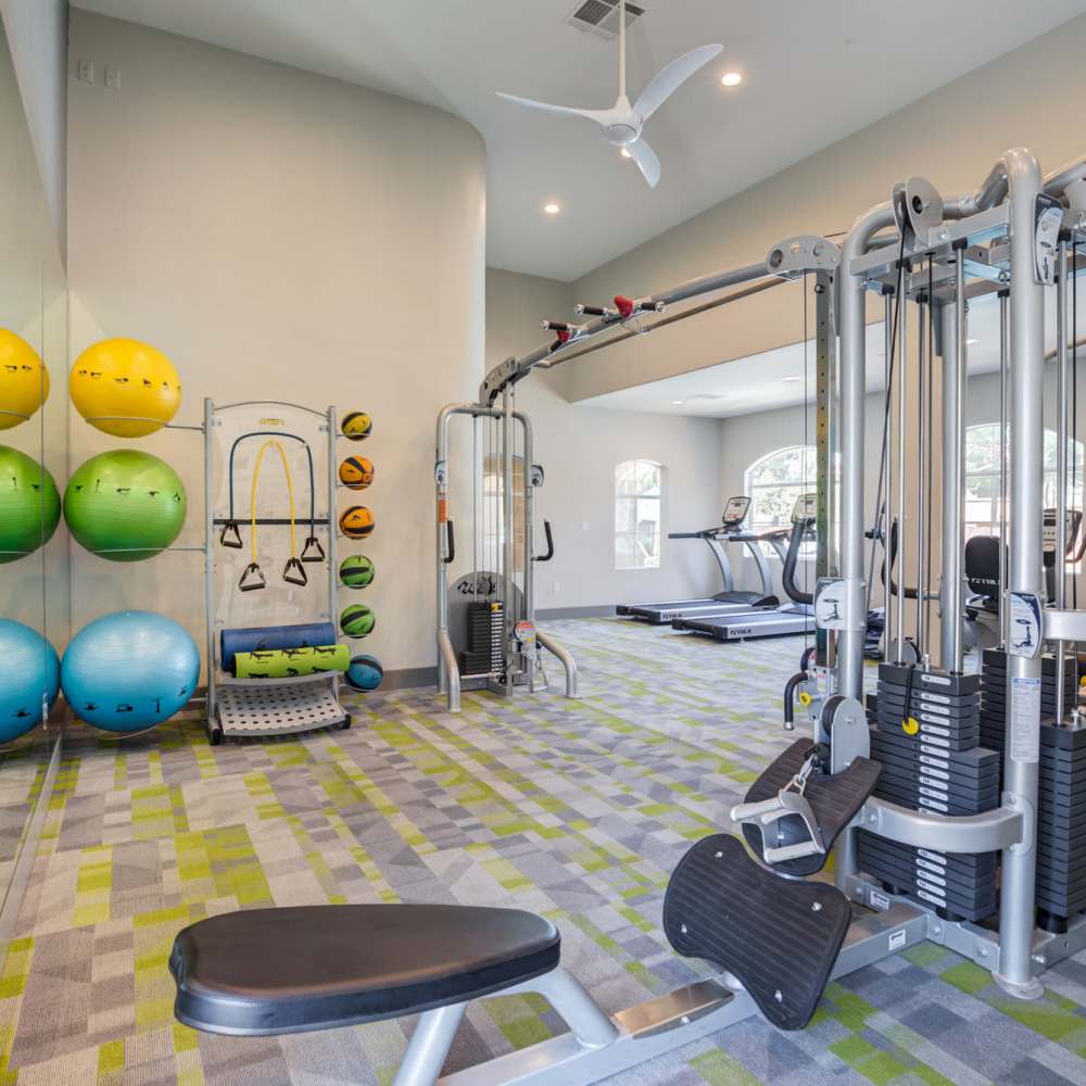 Fitness center with swiss balls at Collage in Las Vegas, Nevada