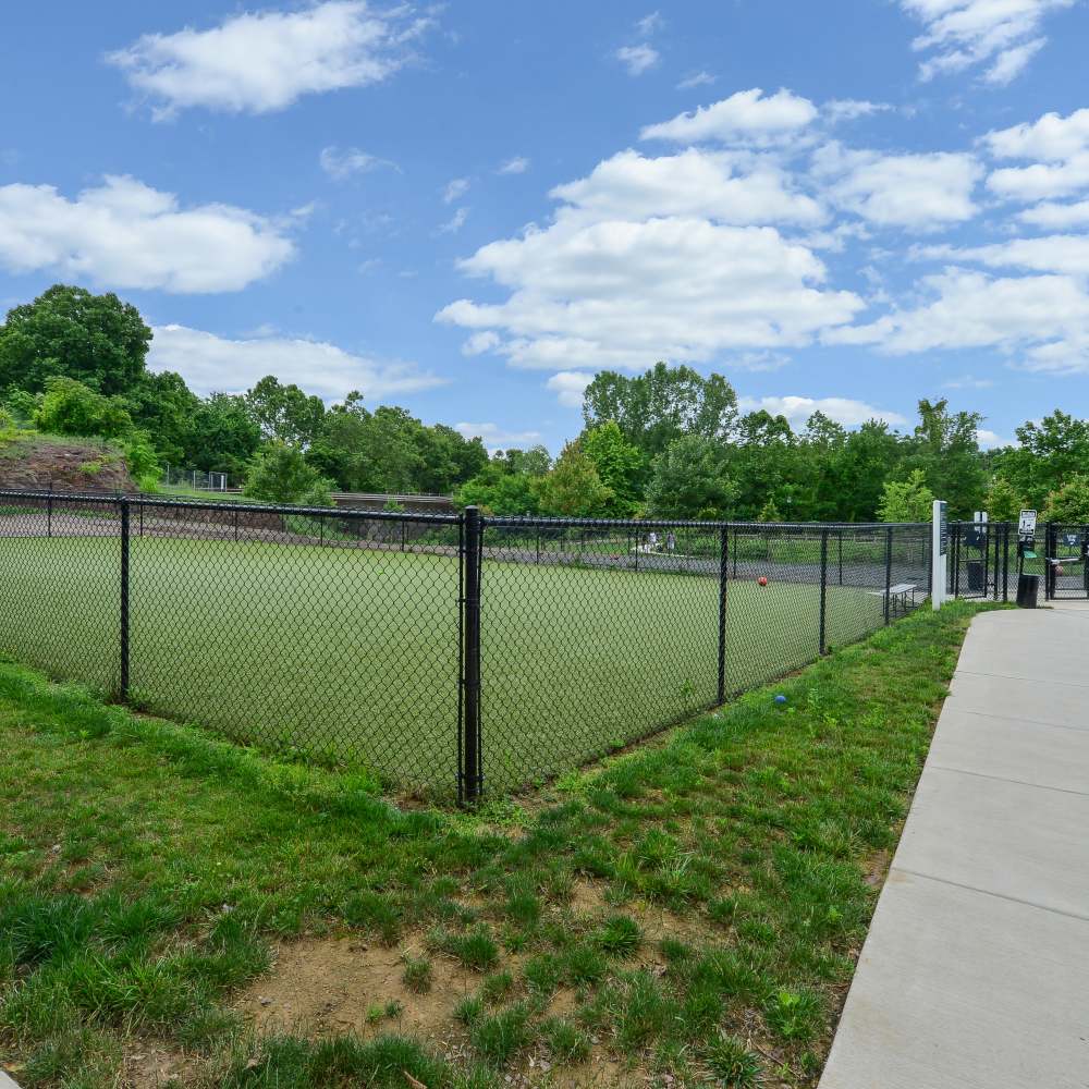 on-site dog park at Riverworks in Phoenixville, Pennsylvania
