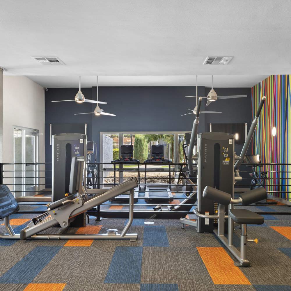 Fitness Center at Vida46 in Phoenix, Arizona