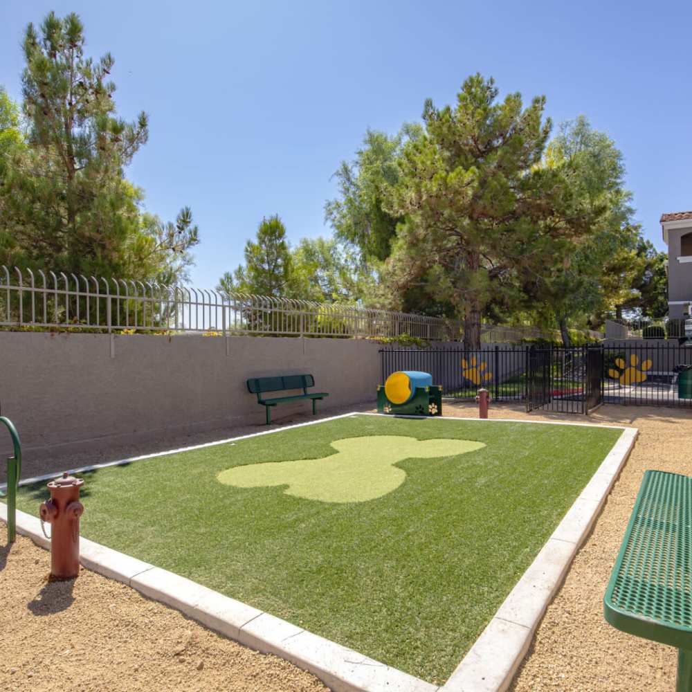 Pet-park at Aviata in Las Vegas, Nevada