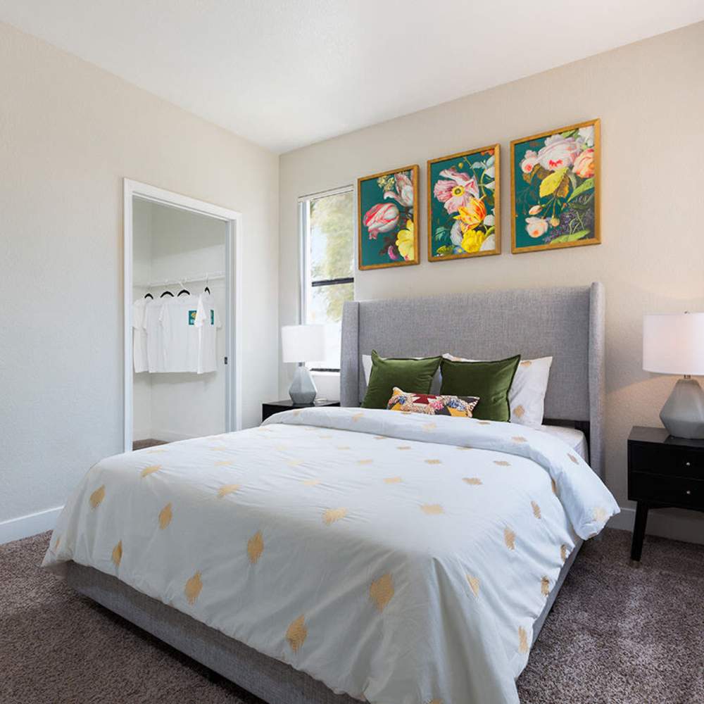 Bedroom with plush carpeting at Morada West in Phoenix, Arizona