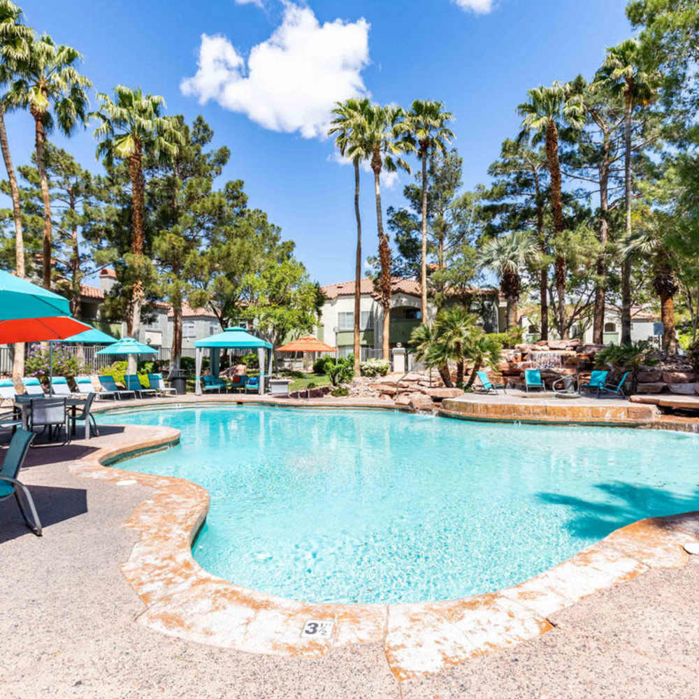 Pool Vintage Pointe in Las Vegas, Nevada