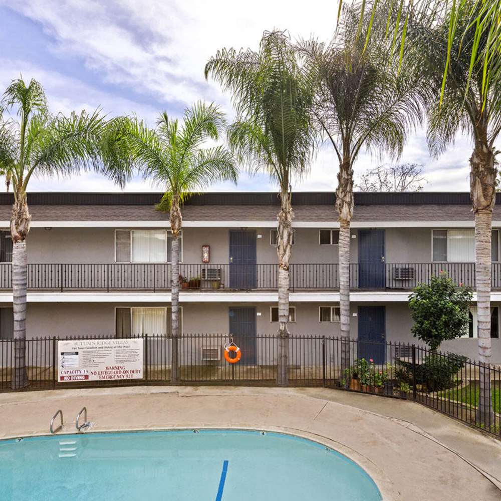 Swimming pool surrounded by palm trees at Terre at 1019 Peach in El Cajon, California
