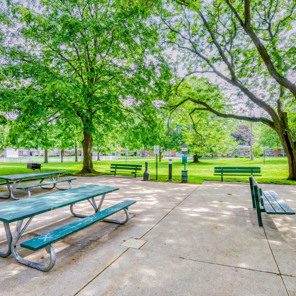 Outdoor picnic area at Frenchtown Place in Monroe, Michigan