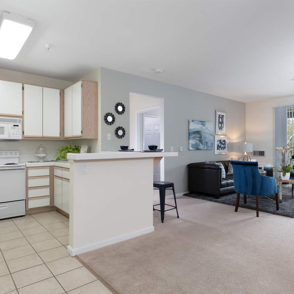 Model kitchen with white accents leading into living space Villa Torino in San Jose, California