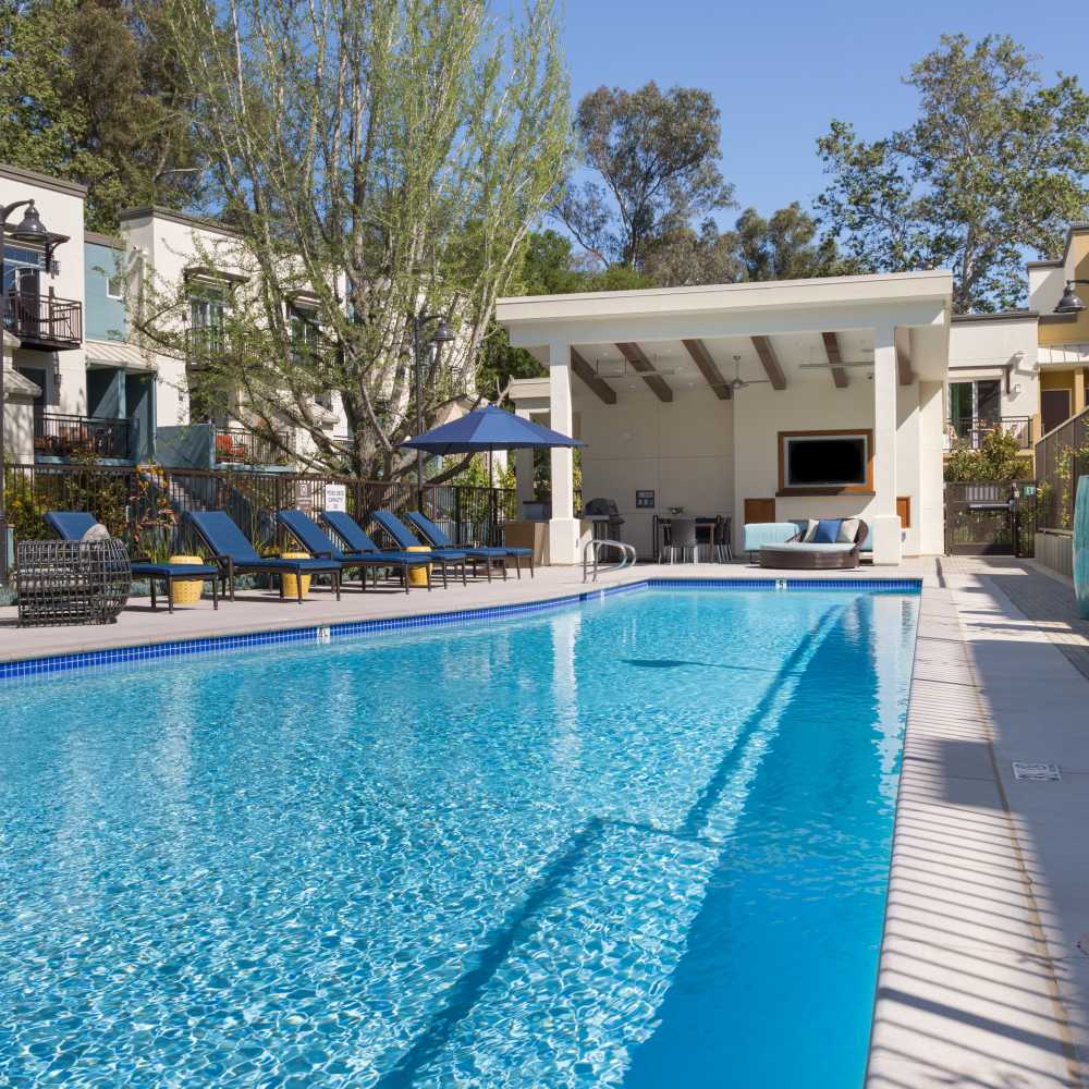 Pool with cabana Vivere in Los Gatos, California