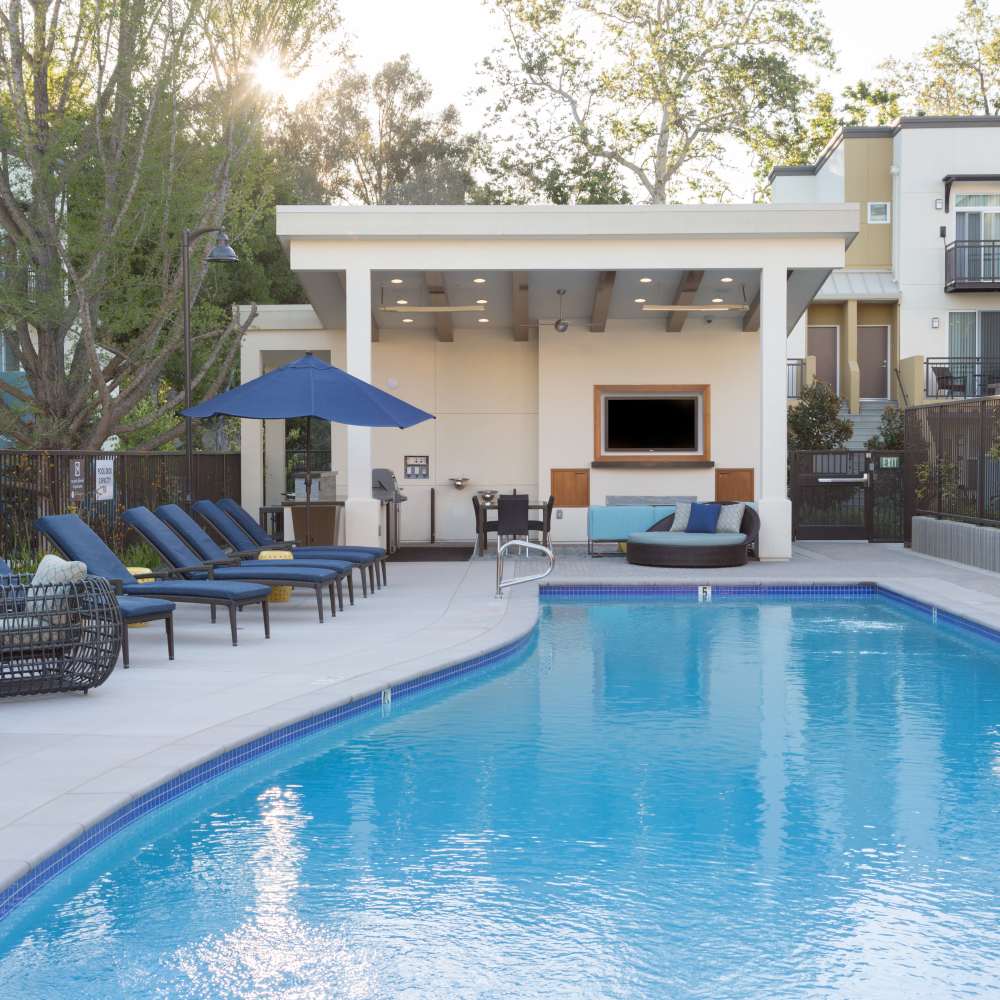 Swimming pool with BBQ area Vivere in Los Gatos, California