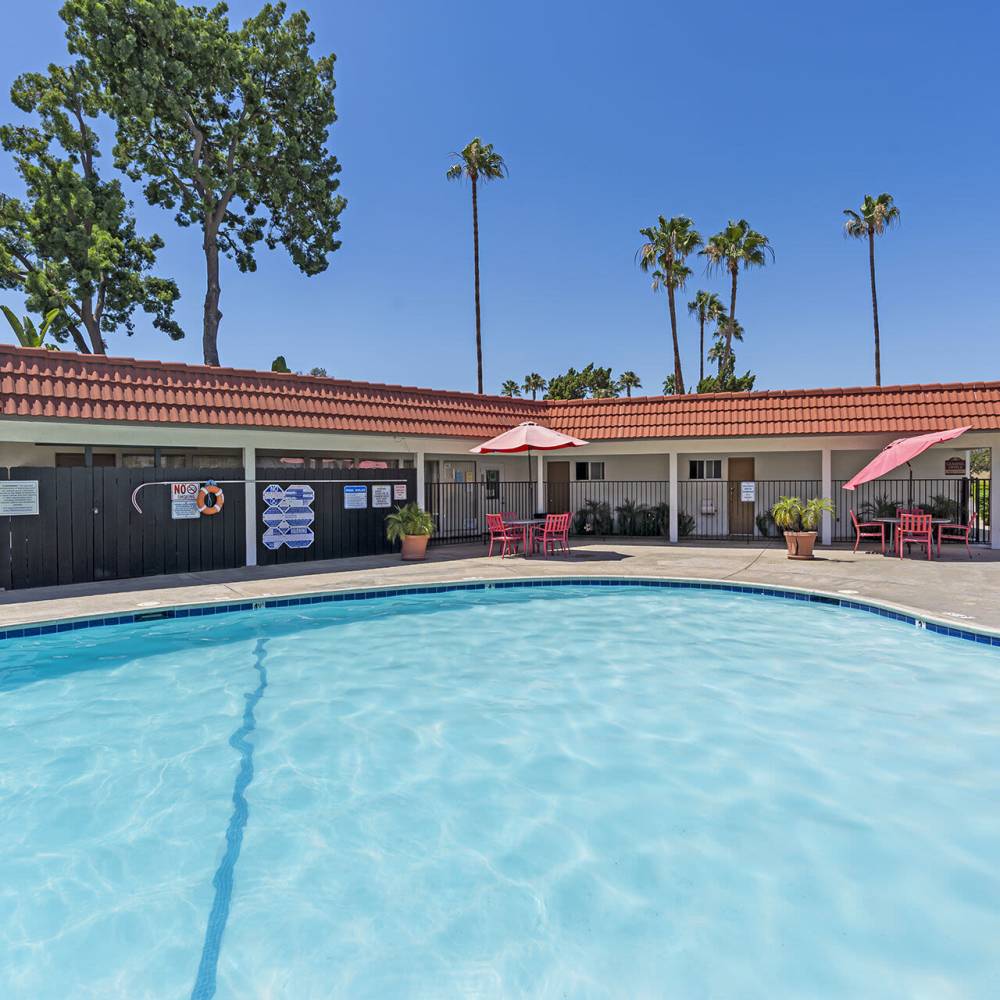 Cool off in our swimming  pool at Terre at Lexi in San Diego, California