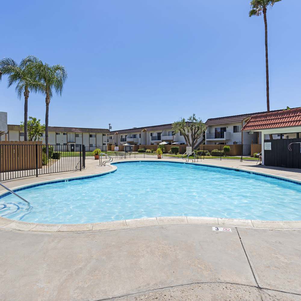 Swimming pool at Terre at Lexi in San Diego, California