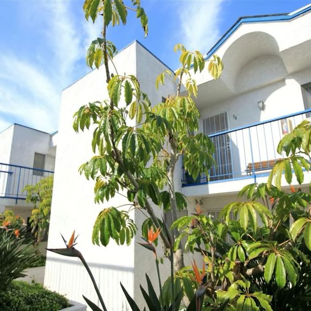 Great landscaping at Mar at Grove in Imperial Beach, California