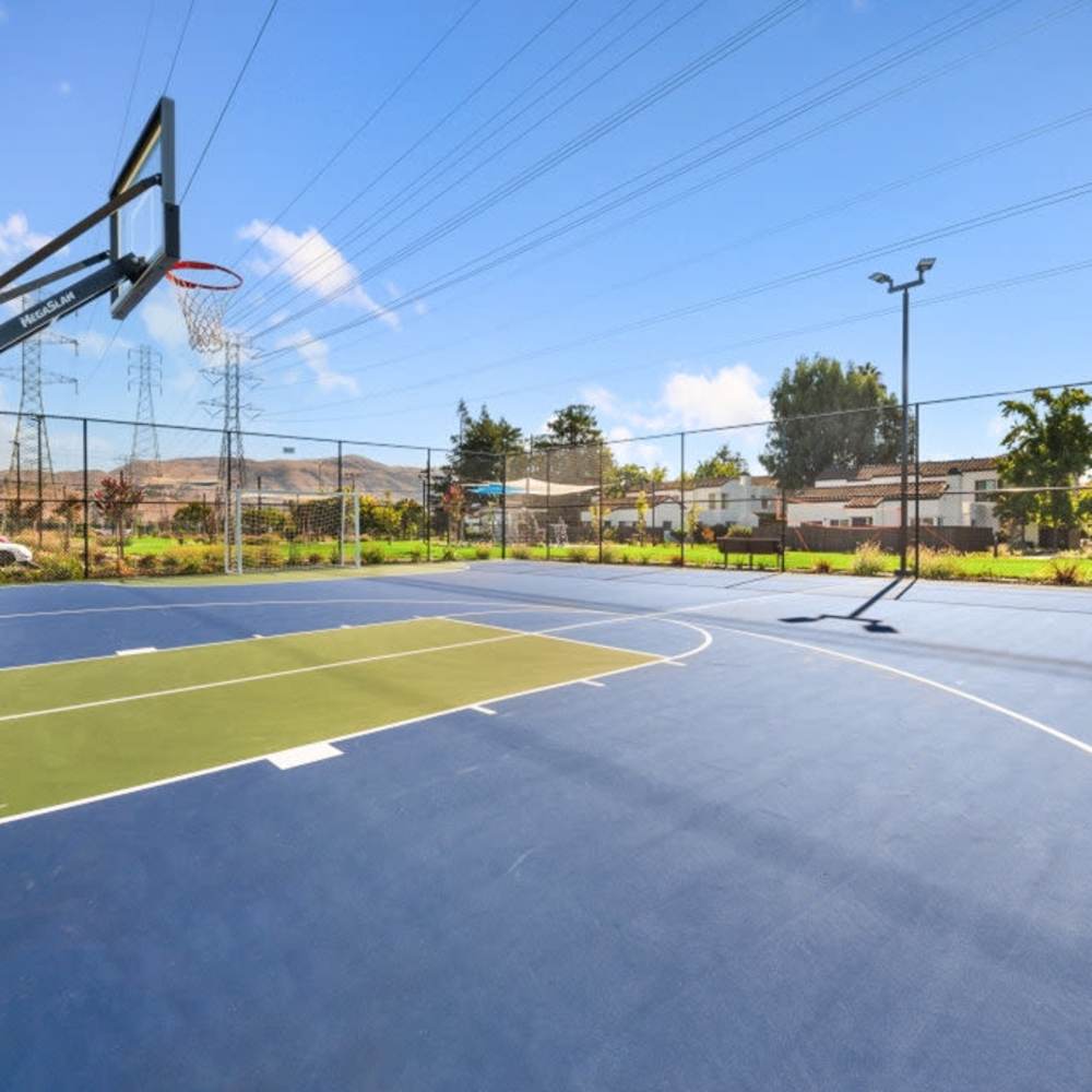 Court Mariposa Fremont in Fremont, California
