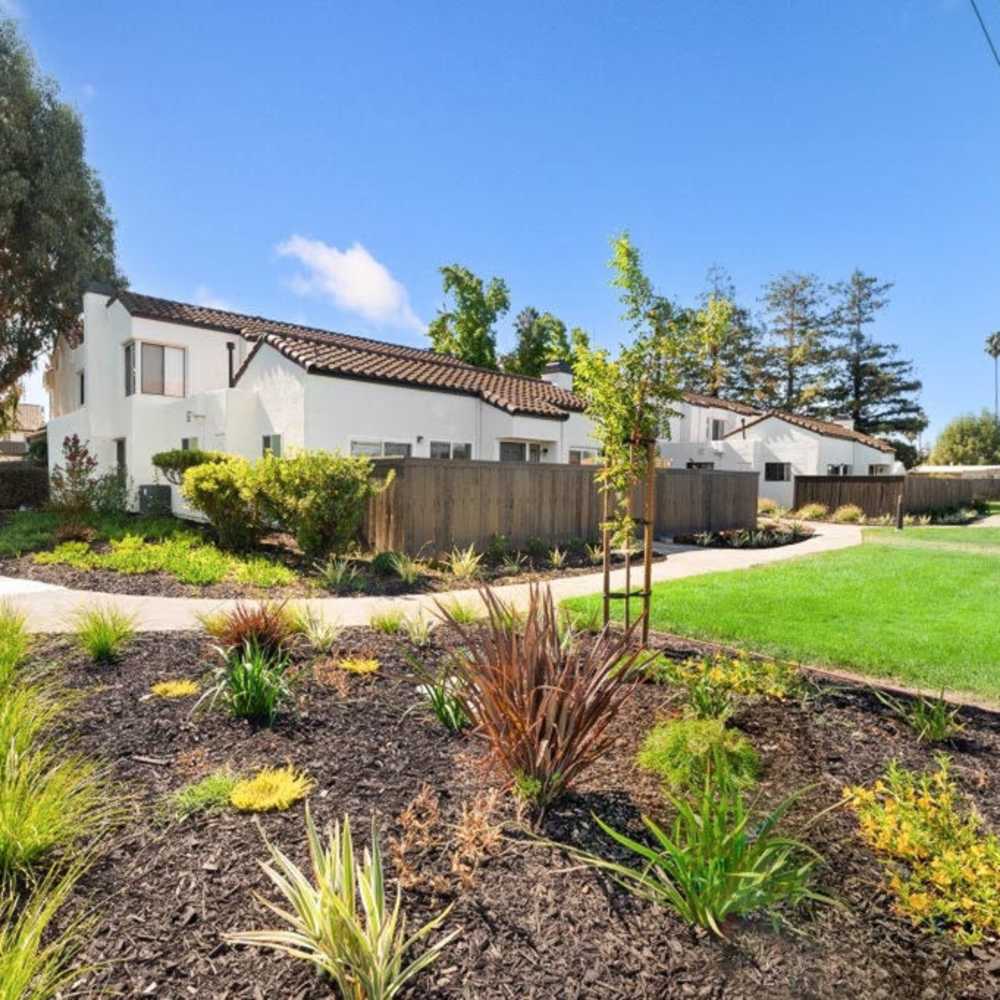 Outdoor landscaping Mariposa Fremont in Fremont, California