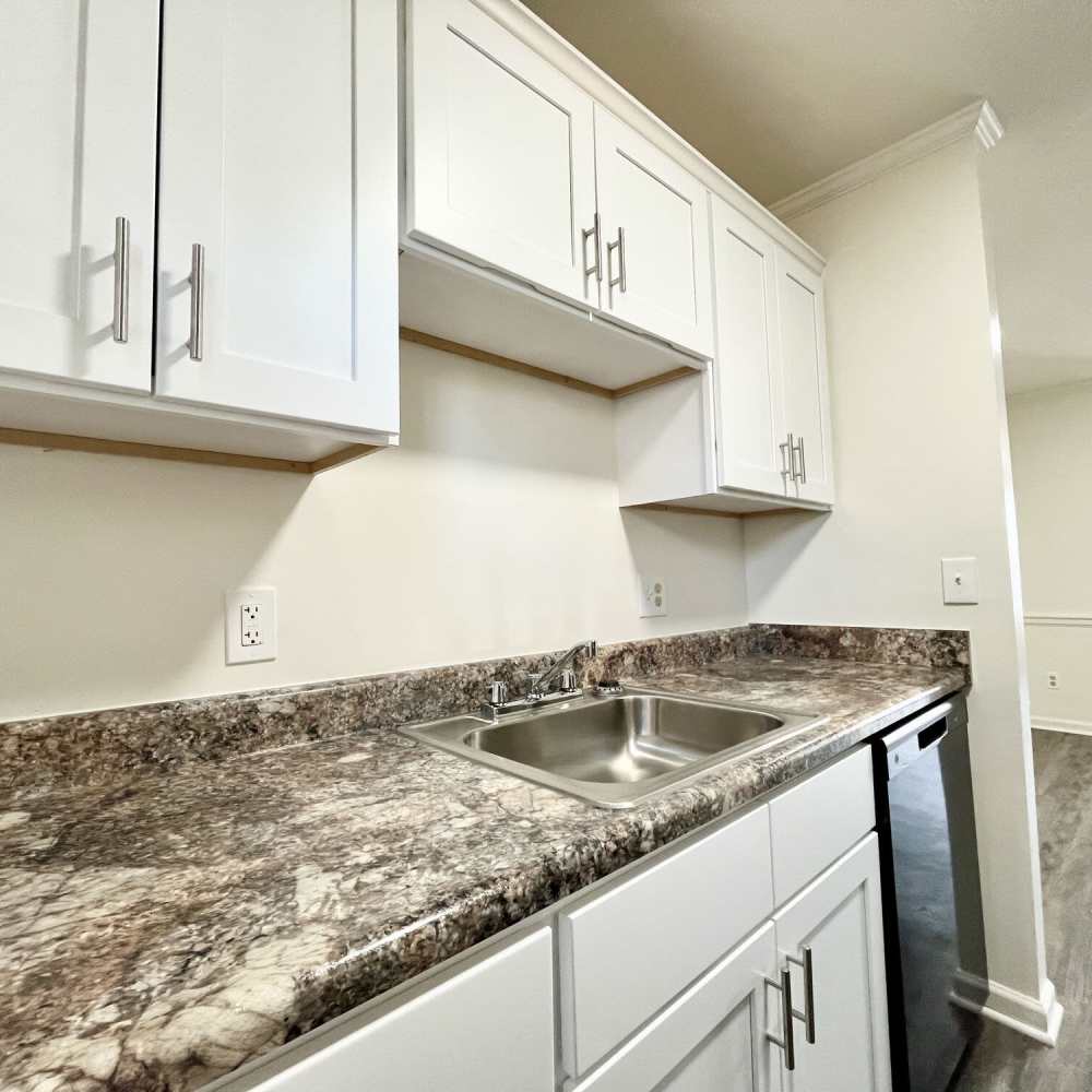 Kitchen with a dishwasher at Collinwood Apartments in Newport News, Virginia