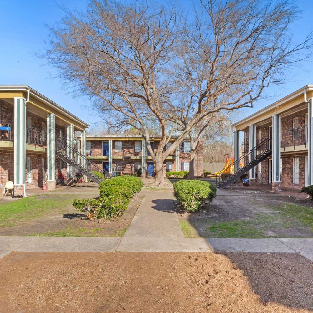 Green spaces at La Carmona in Houston, Texas