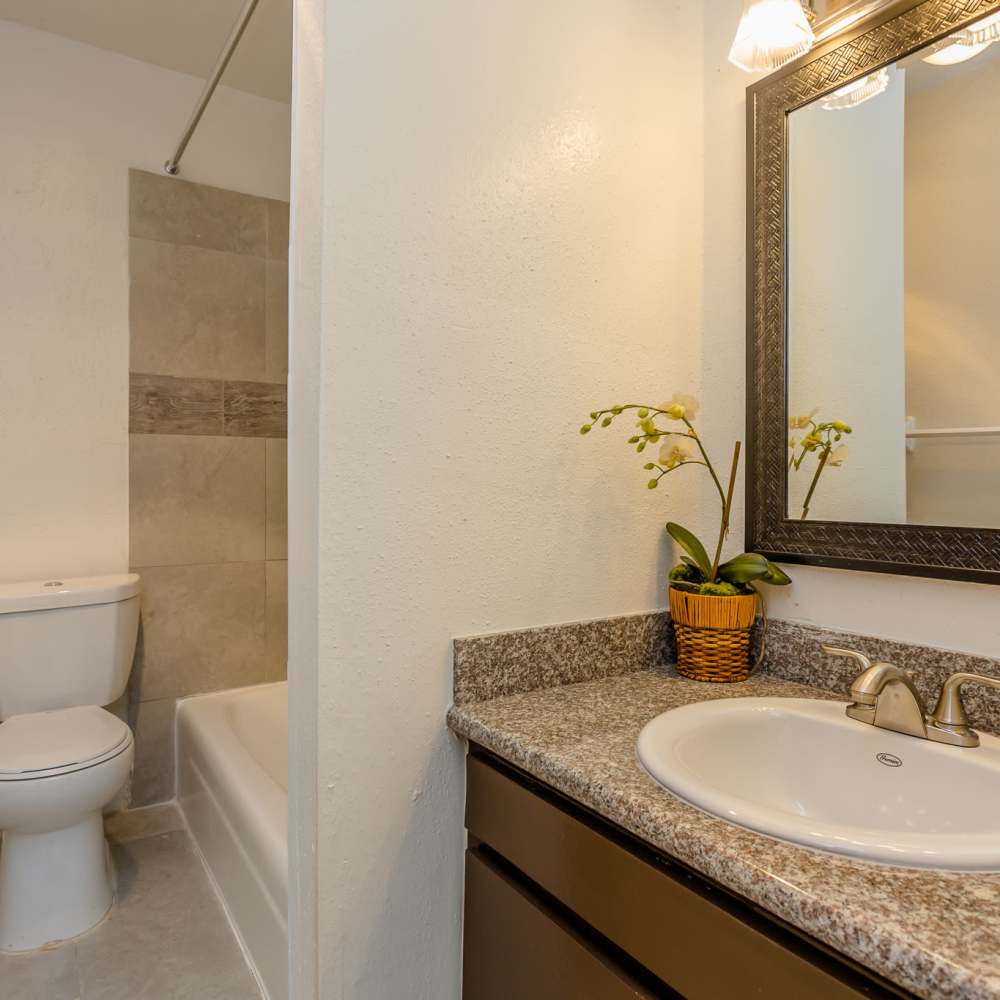 Bathroom with updated cabinetry at La Carmona in Houston, Texas