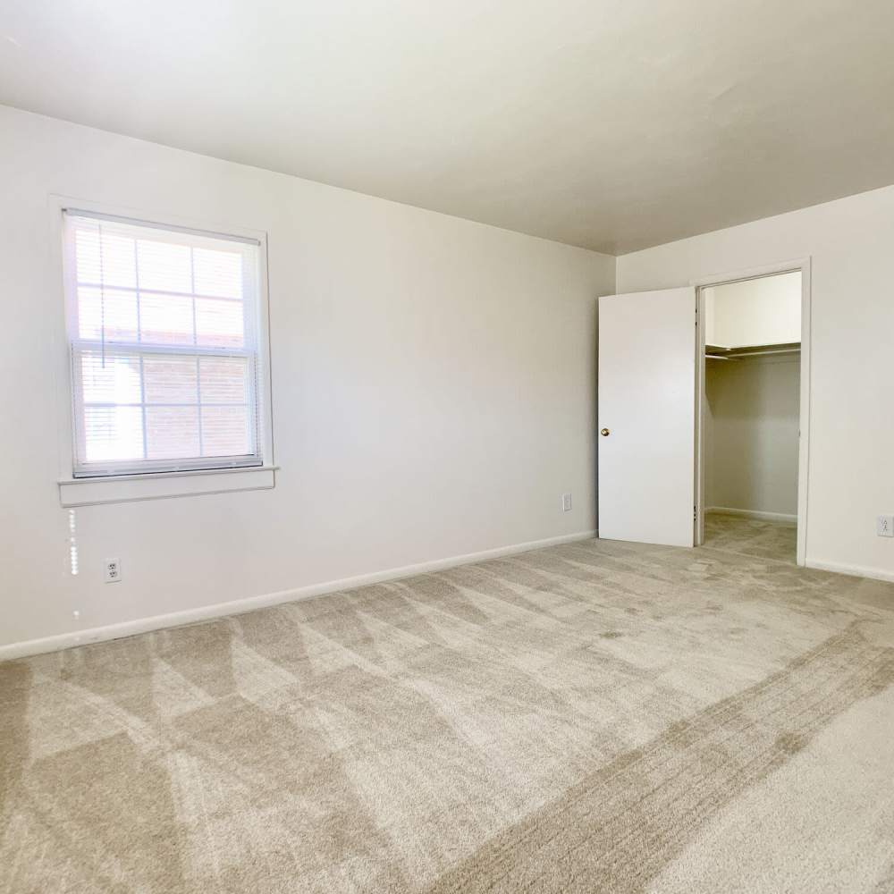 Bedroom space with plush carpeting at Great Bridge Apartments in Chesapeake, Virginia