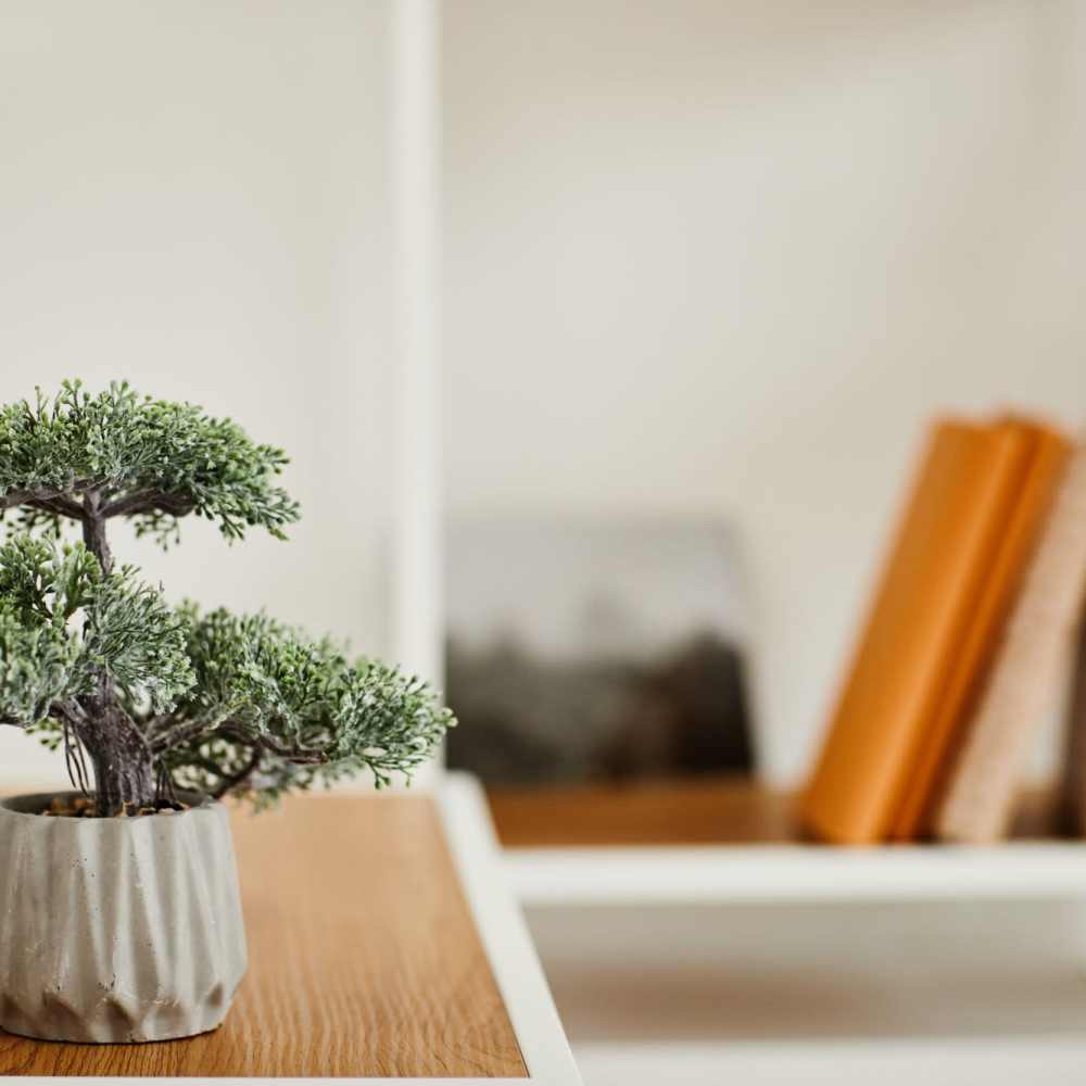 Model office with plant 301 Monroe Place in Hoboken, New Jersey
