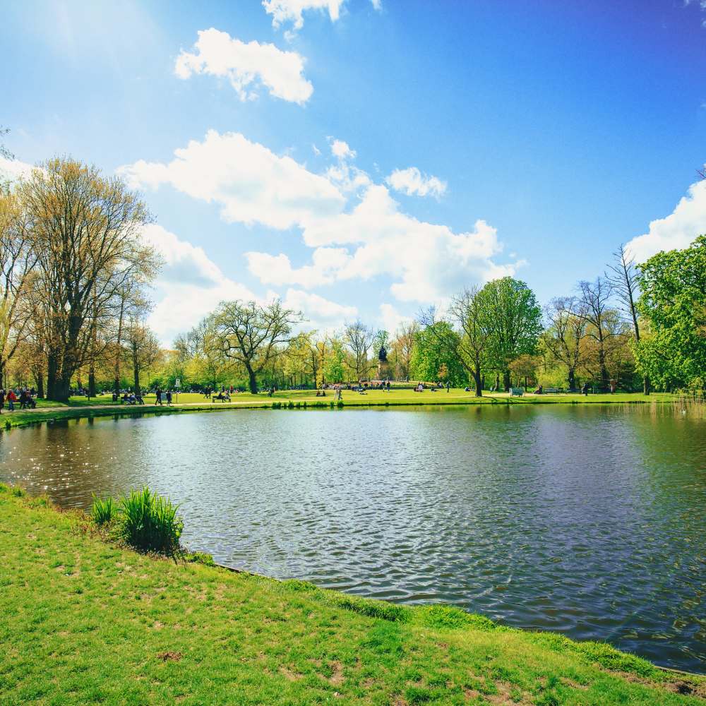 A serene pond surrounded by green trees and grass in a peaceful park near Fairways Villas II Apartments in Victor, New York