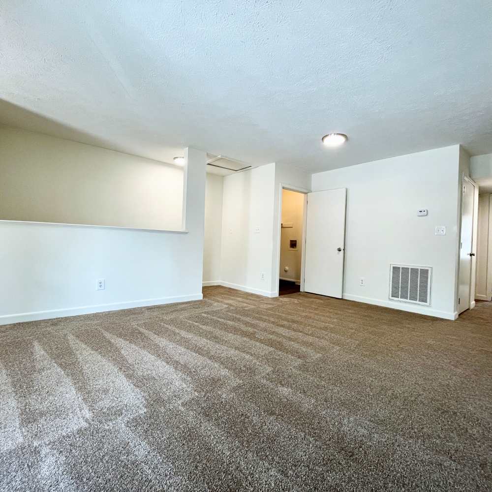living space with plush carpeting at Collinwood Apartments in Newport News, Virginia