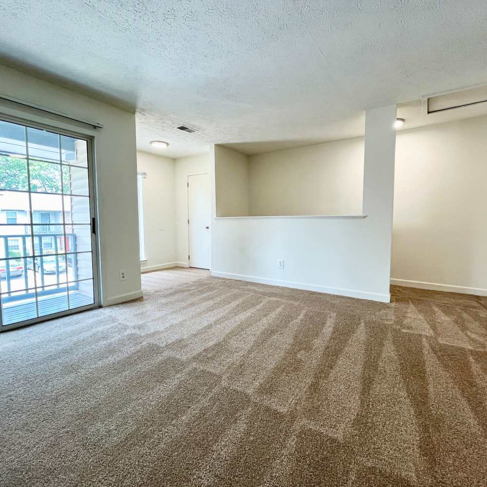 Living space with plush carpeting at Collinwood Apartments in Newport News, Virginia
