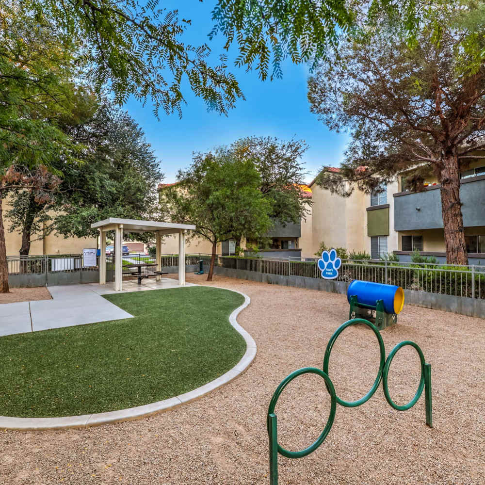 Dog park at Parkway Townhomes in Henderson, Nevada