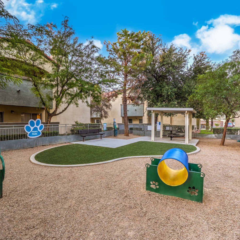 Dog park with a tunnel at Parkway Townhomes in Henderson, Nevada