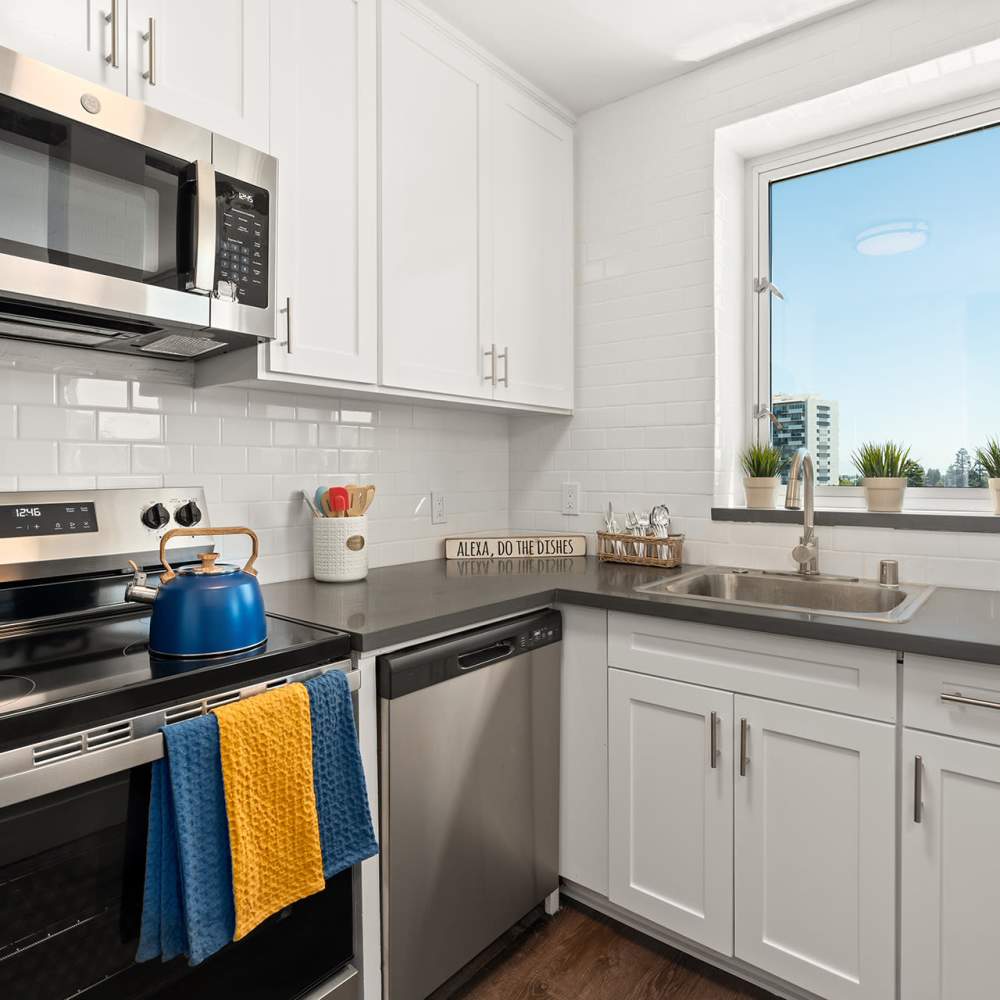 Stainless steel kitchen with window at Ryan Tower San Mateo, California