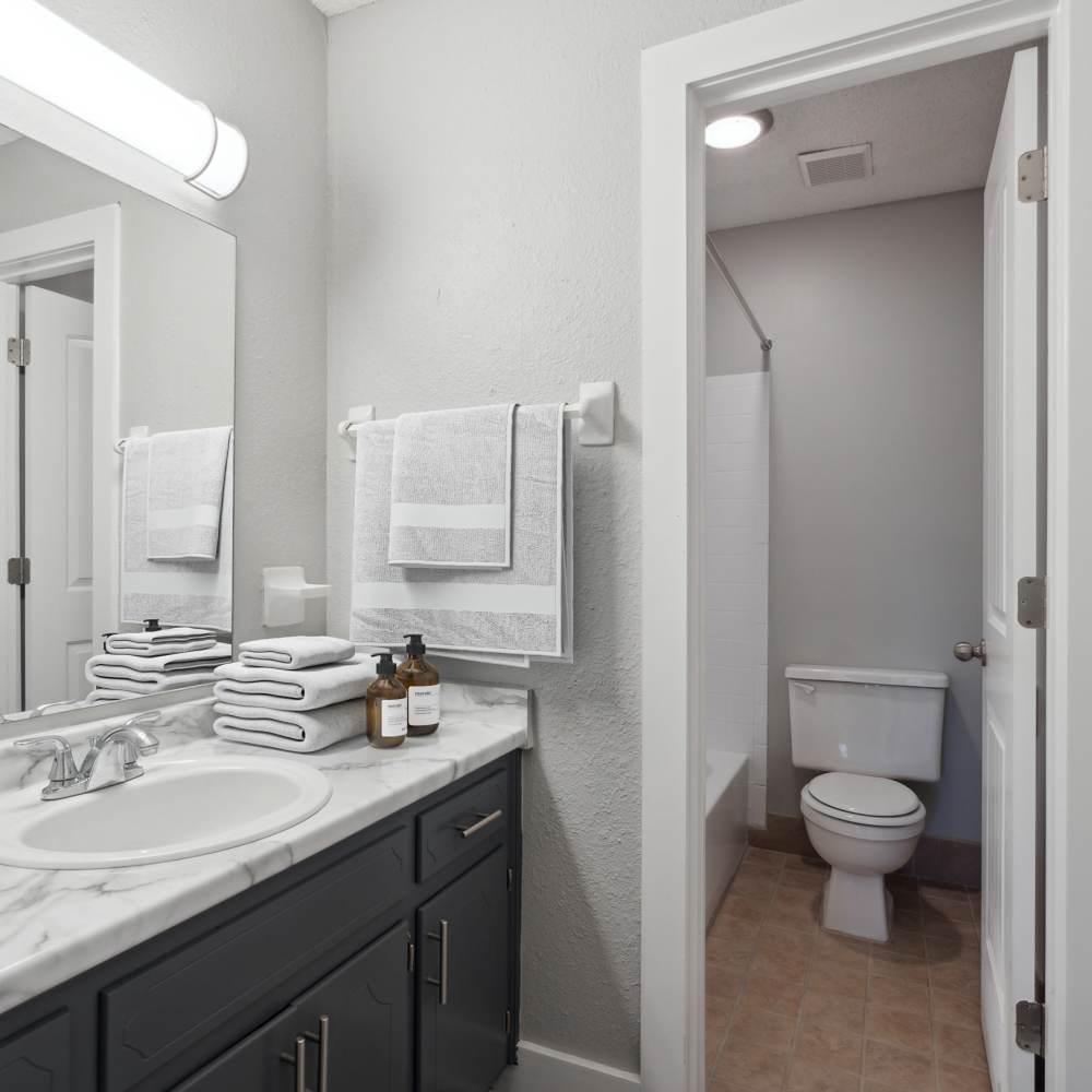 Bathroom with white countertop and dark tone storage units at Nottingham Apartments in Hendersonville, Tennessee
