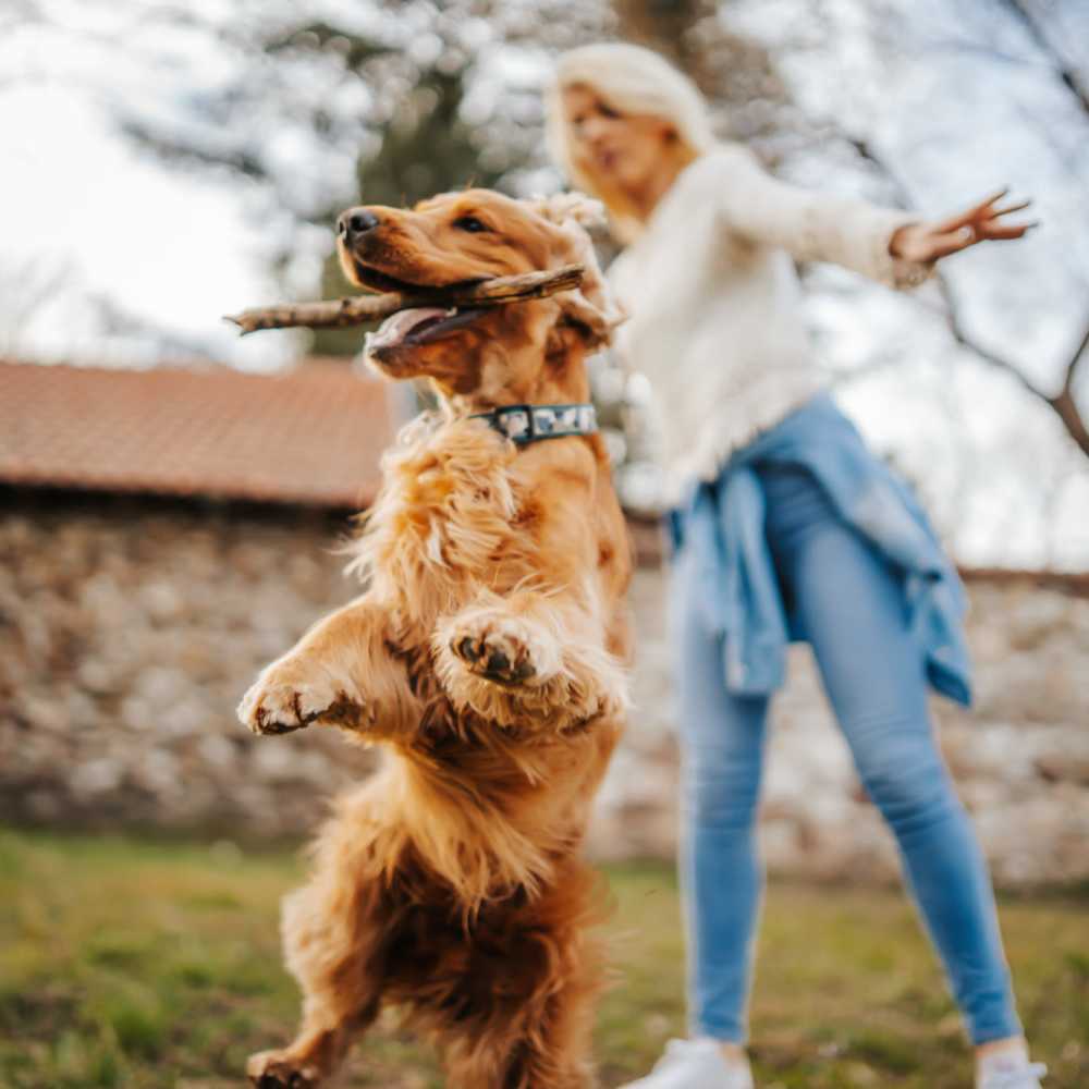 Resident playing with her dog at Haggerty Lane in Bozeman, Montana