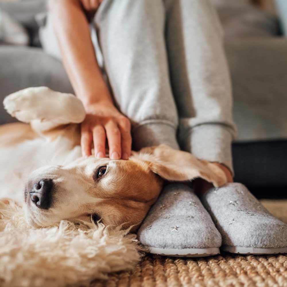 Resident petting her dog at Bridger Peaks in Bozeman, Montana