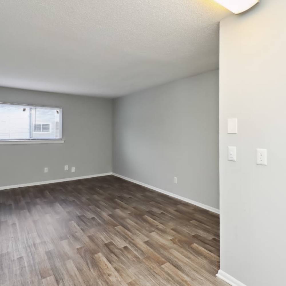 Living room with window and ample natural light at Willow Creek Apartments in Chattanooga, Tennessee