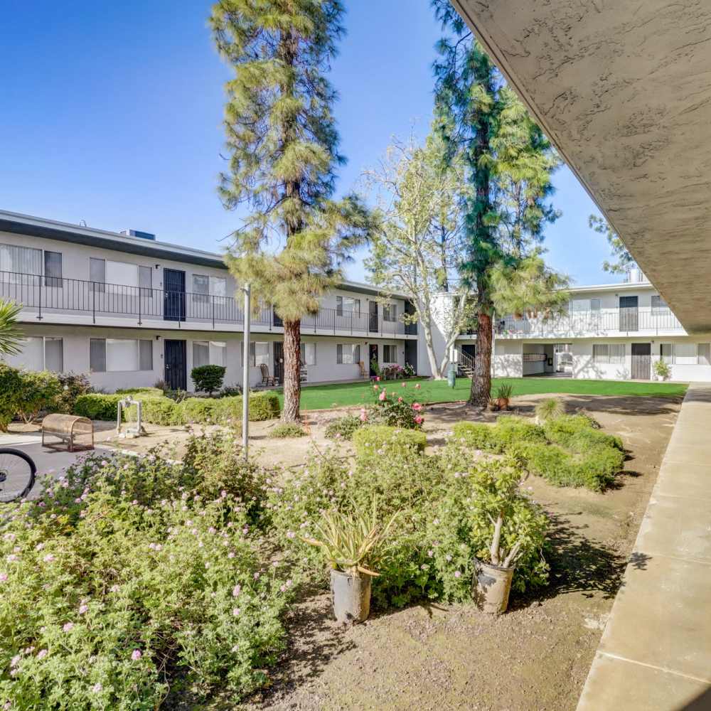 Be surrounded by greenery at Terre at Trails in Ramona, California