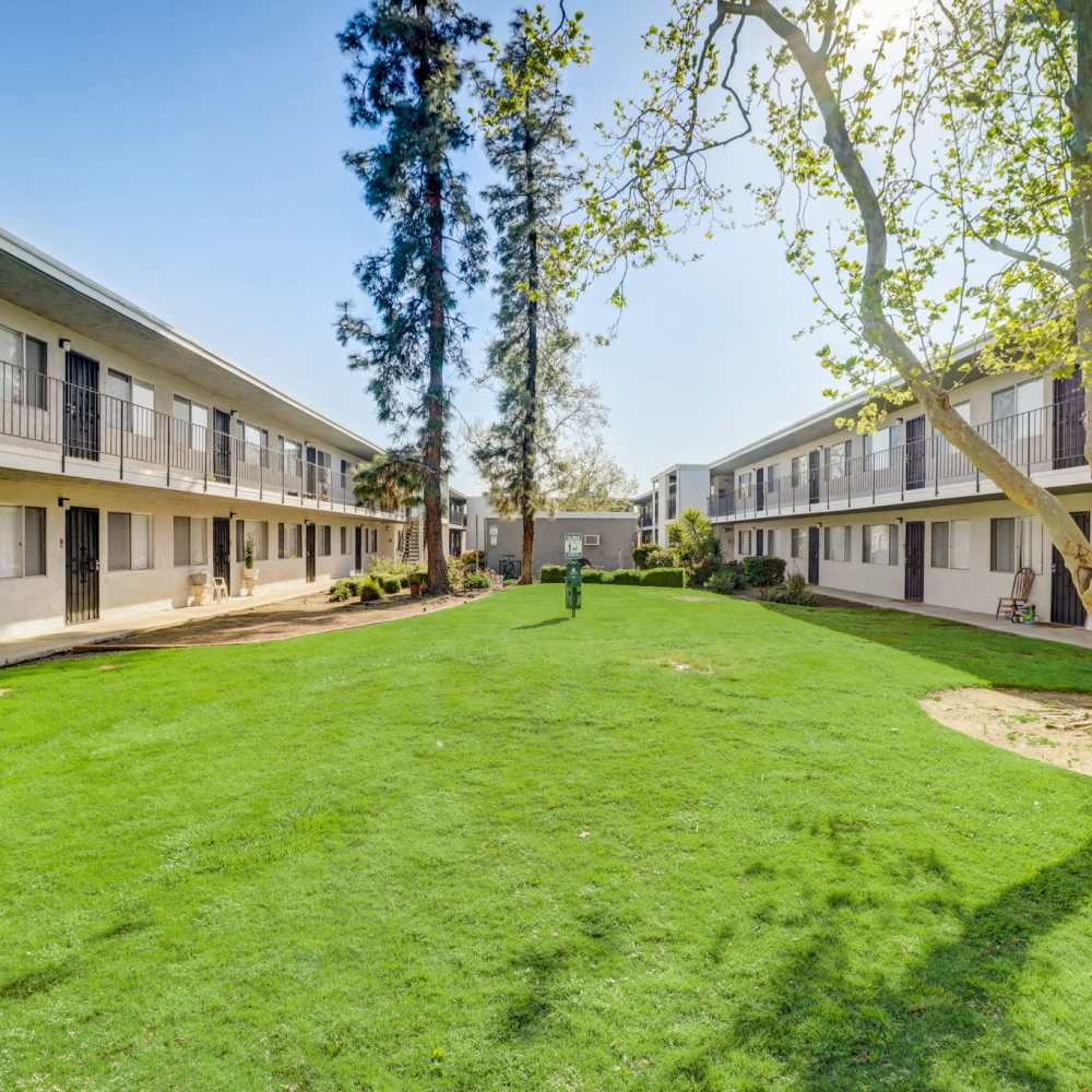 Wide open area lawn at Terre at Trails in Ramona, California
