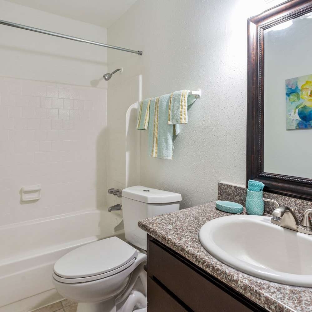 Bathroom with a customer shower backsplash at Huntington Village And Cambridge Crossing in Houston, Texas