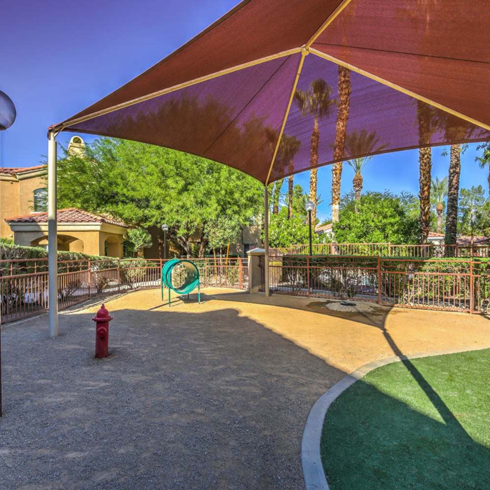 Pet park at Calypso Apartments in Las Vegas, Nevada