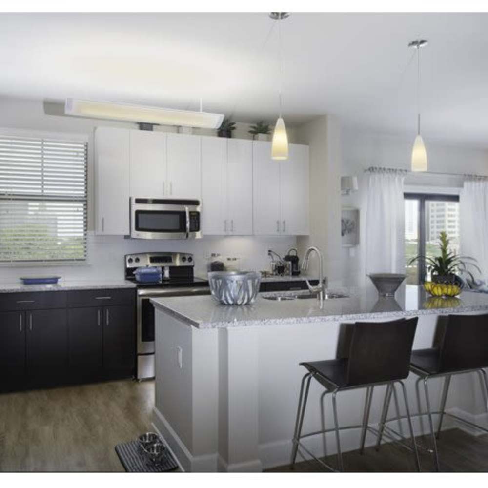 Kitchen with stainless-steel appliances at Beacon 430 in Saint Petersburg, Florida