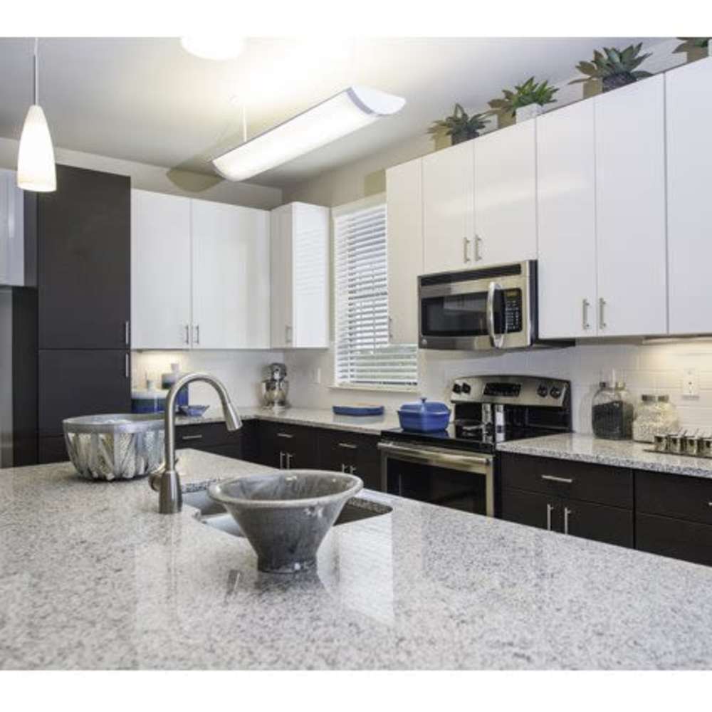 Kitchen with granite countertops at Beacon 430 in Saint Petersburg, Florida
